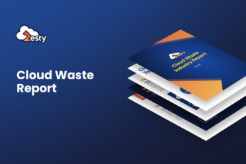 Cloud waste report - zesty